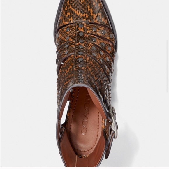Coach Phoebe CutOut Bootie in Snakeskin - Picture 3 of 14